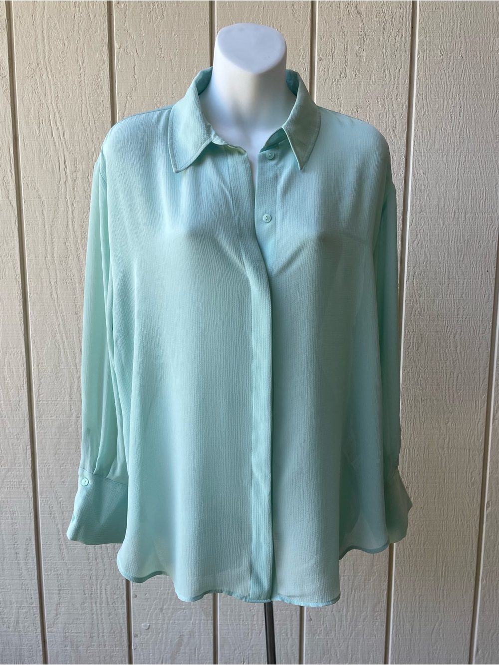 NWT Zara Sea Foam Green Sheer Button-Up Blouse